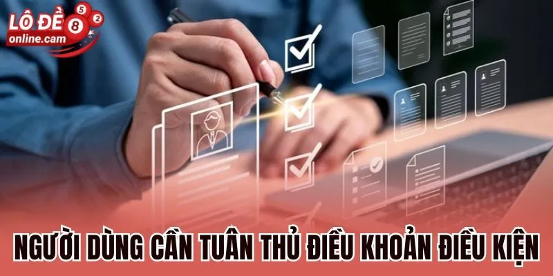 Người dùng cần tuân thủ điều khoản điều kiện