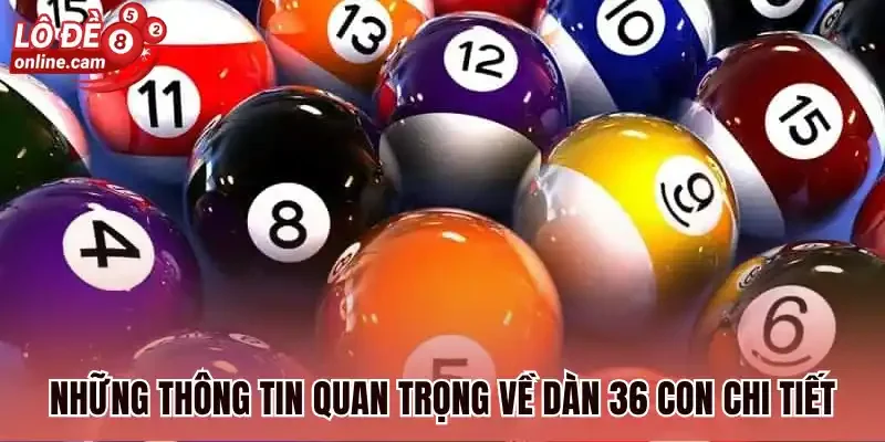 Những thông tin quan trọng về dàn 36 con chi tiết