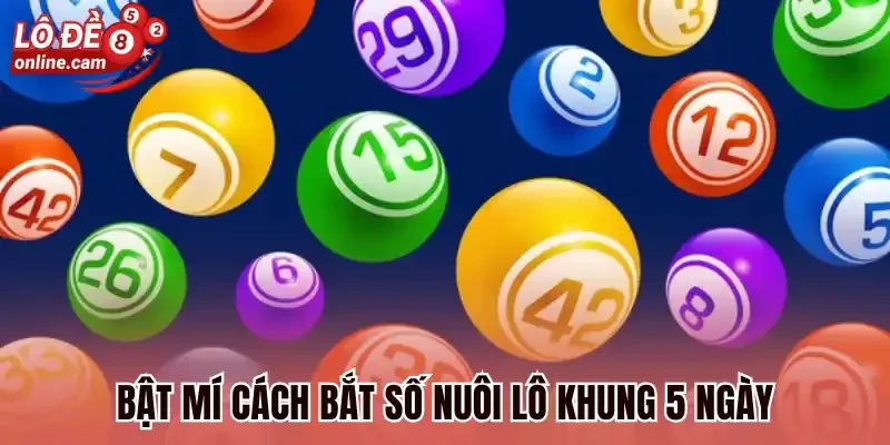 Bật mí cách bắt số nuôi lô khung 5 ngày