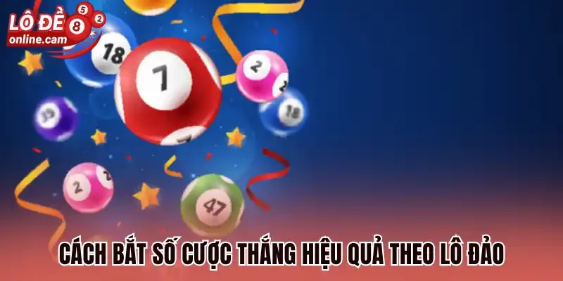 Cách bắt số cược thắng hiệu quả theo lô đảo