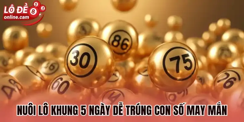 Nuôi lô khung 5 ngày dễ trúng con số may mắn