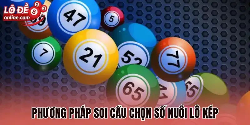 Phương pháp soi cầu chọn số nuôi lô kép